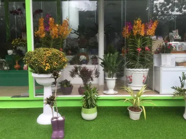 Container showroom shop hoa Q7 S401